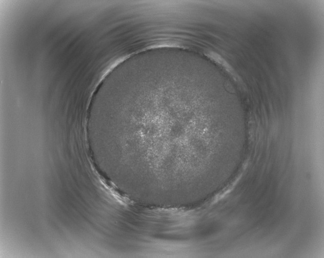 X0000066101121200603171350