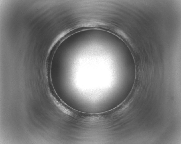 X0000066101122200603171350