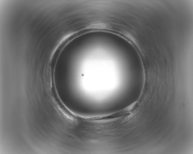 X0000066101123200603171350