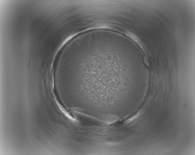 X0000066101127200603171350