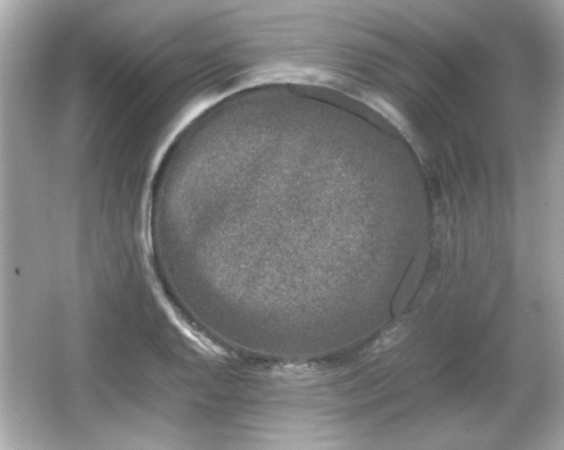 X0000066101128200603171350