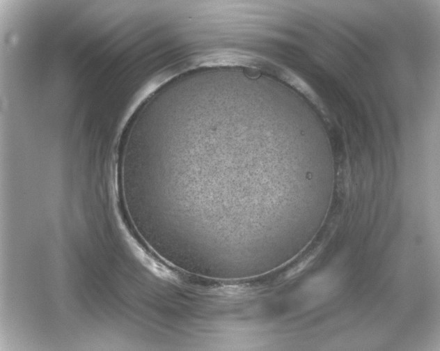 X0000066101130200603171350