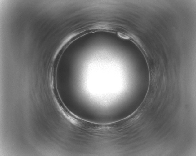 X0000066101131200603171350