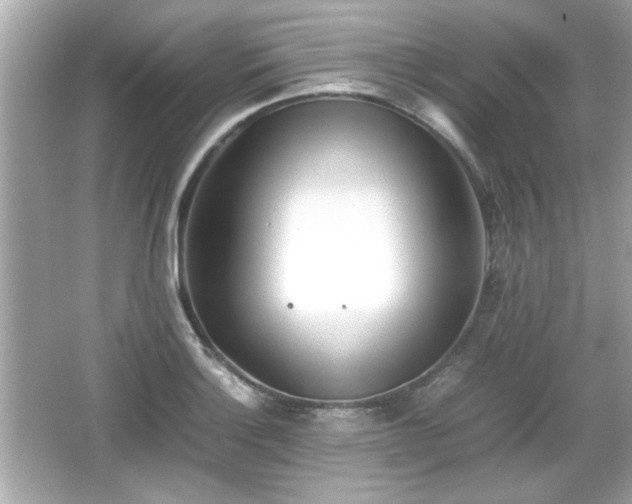 X0000066101132200603171350