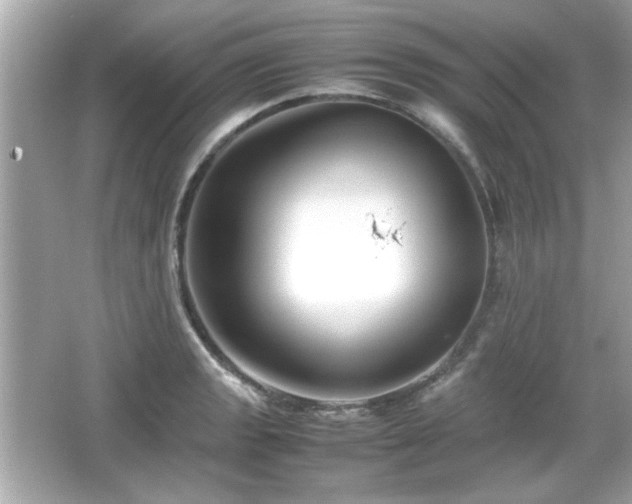 X0000066101133200603171350