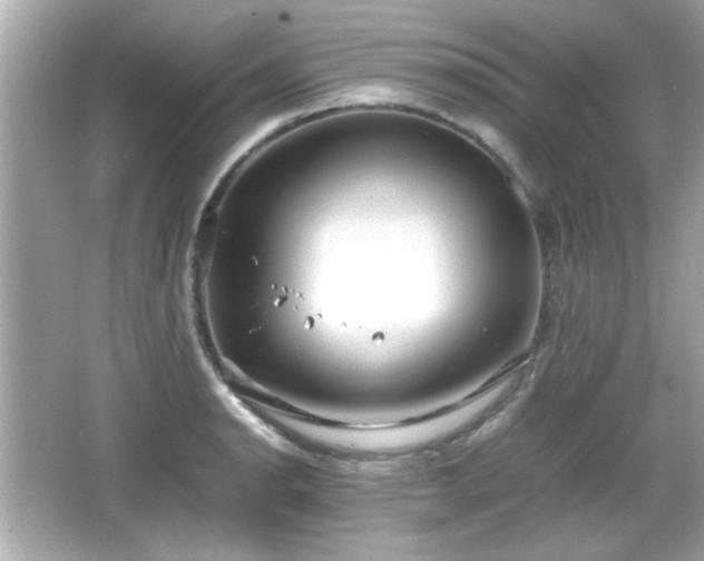 X0000066101134200603171350