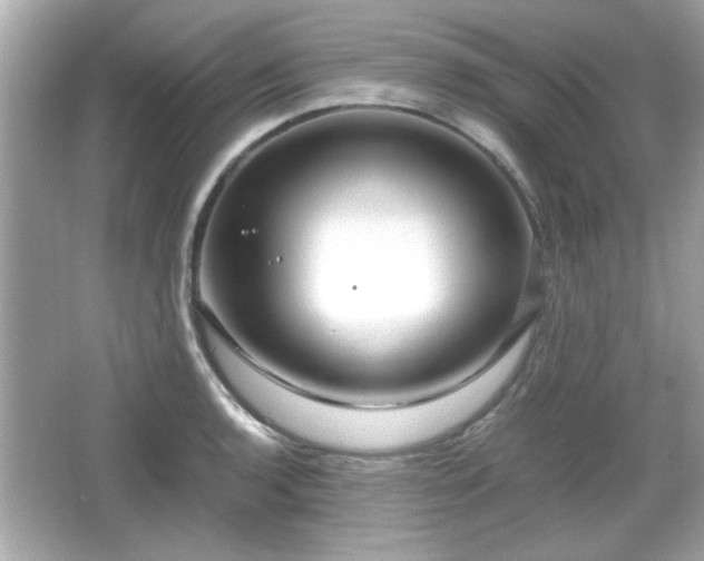 X0000066101136200603171350