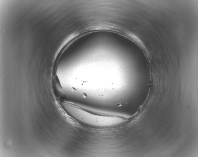 X0000066101138200603171350