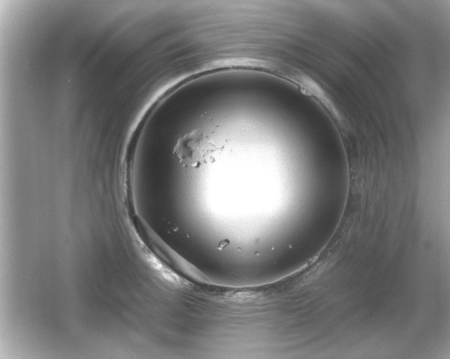 X0000066101140200603171350