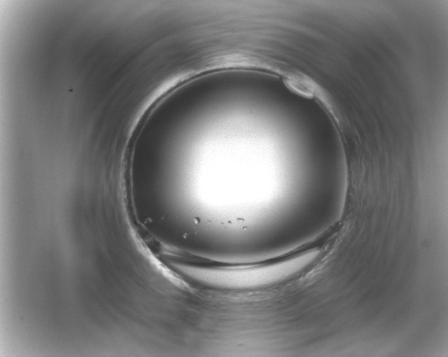 X0000066101142200603171350