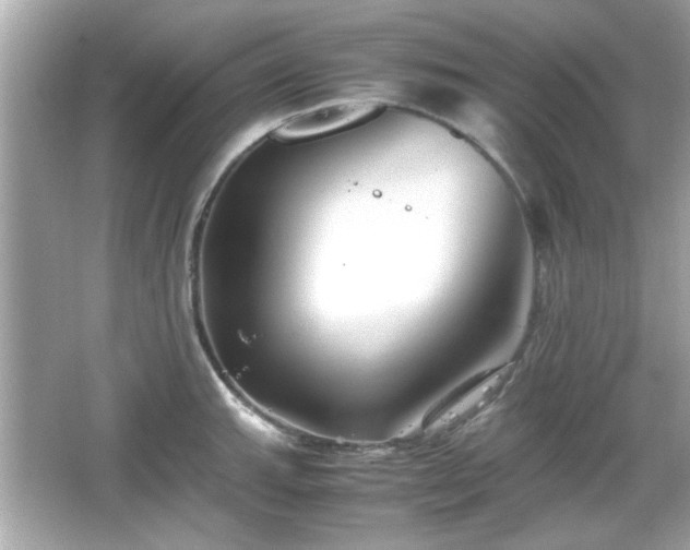 X0000066101143200603171350