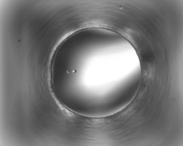 X0000066101144200603171350