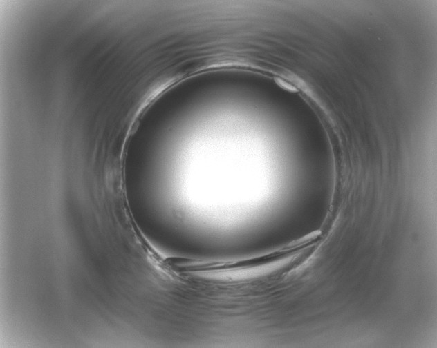 X0000066101145200603171350