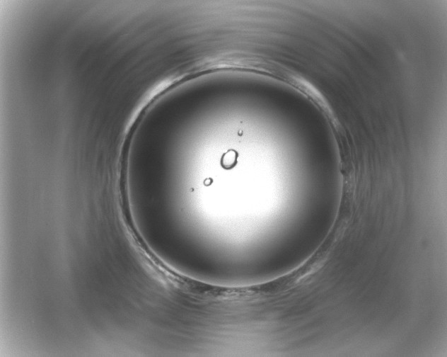 X0000066101146200603171350