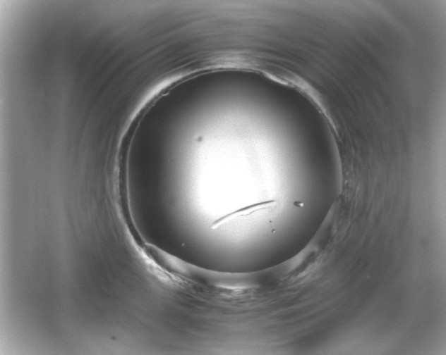 X0000066101147200603171350