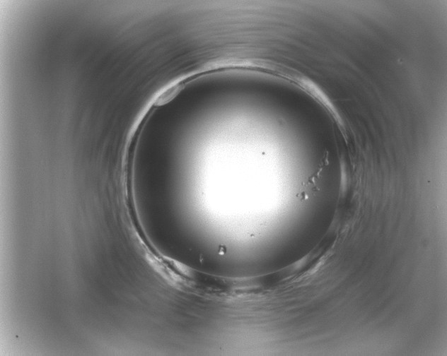 X0000066101148200603171350