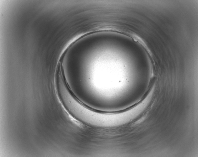 X0000066101149200603171350