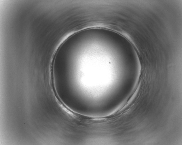 X0000066101151200603171350