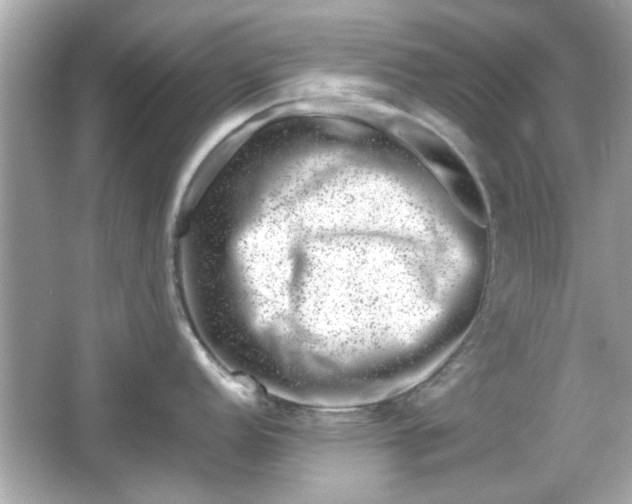 X0000066101152200603171350