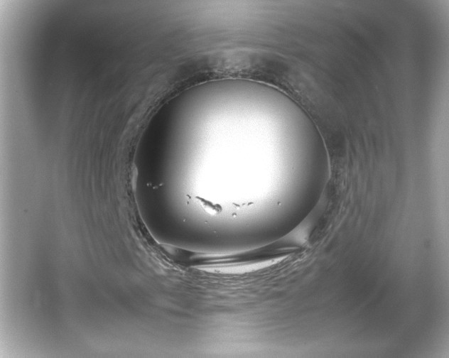 X0000066101153200603171349