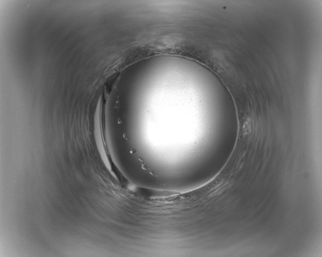 X0000066101156200603171349