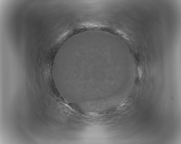 X0000066101157200603171349