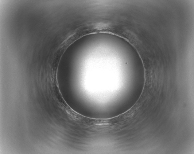 X0000066101158200603171349