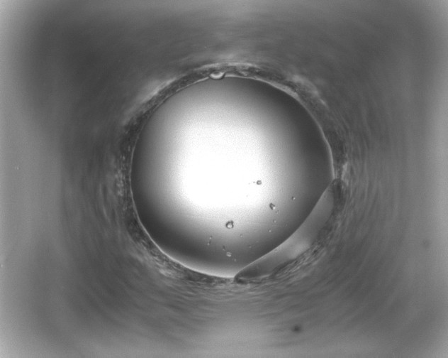 X0000066101159200603171349