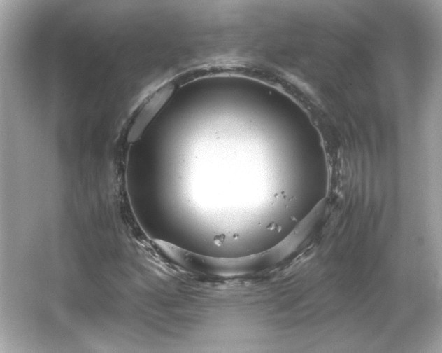 X0000066101160200603171349