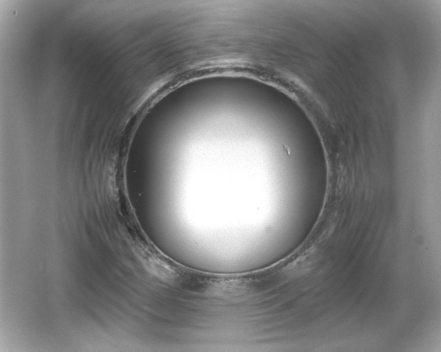 X0000066101162200603171349