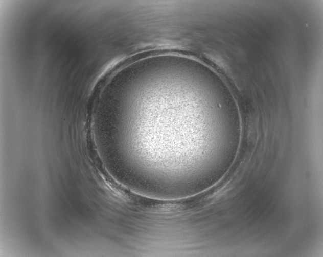 X0000066101163200603171349