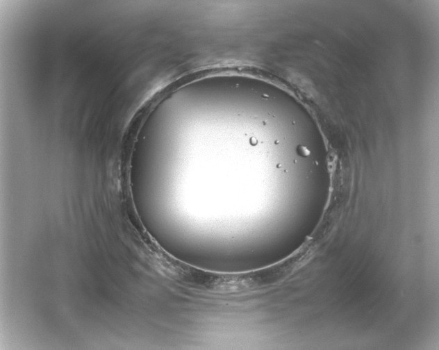 X0000066101165200603171349