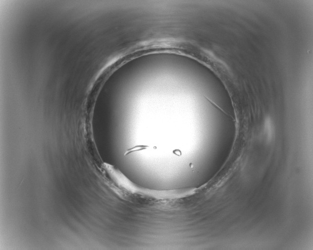 X0000066101166200603171349