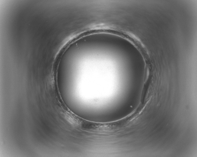 X0000066101167200603171349