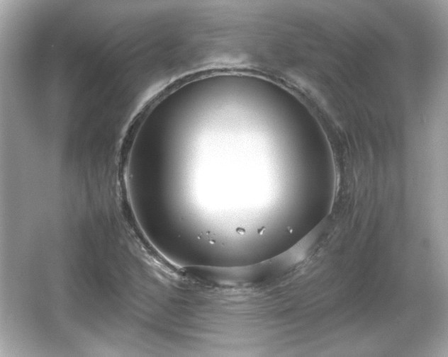 X0000066101168200603171349