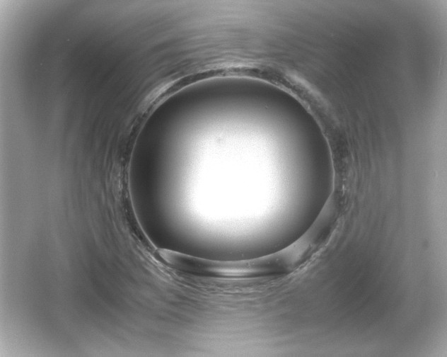 X0000066101169200603171349