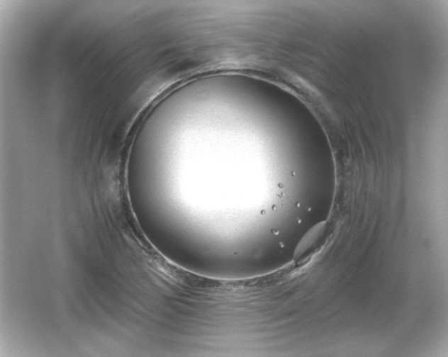 X0000066101170200603171349