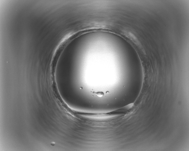 X0000066101172200603171349