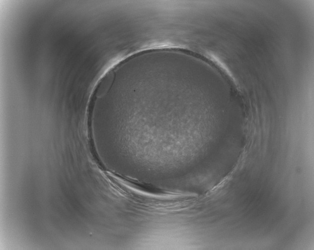 X0000066101173200603171349