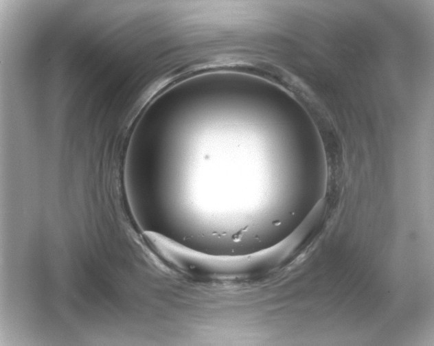 X0000066101177200603171349