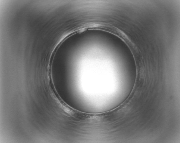 X0000066101178200603171349