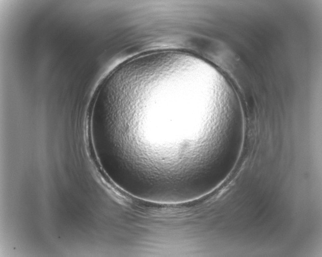 X0000066101179200603171349