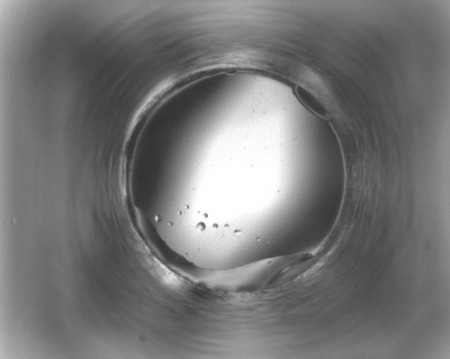 X0000066101180200603171349