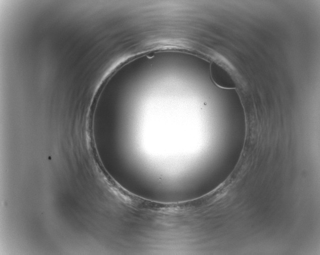 X0000066101182200603171349