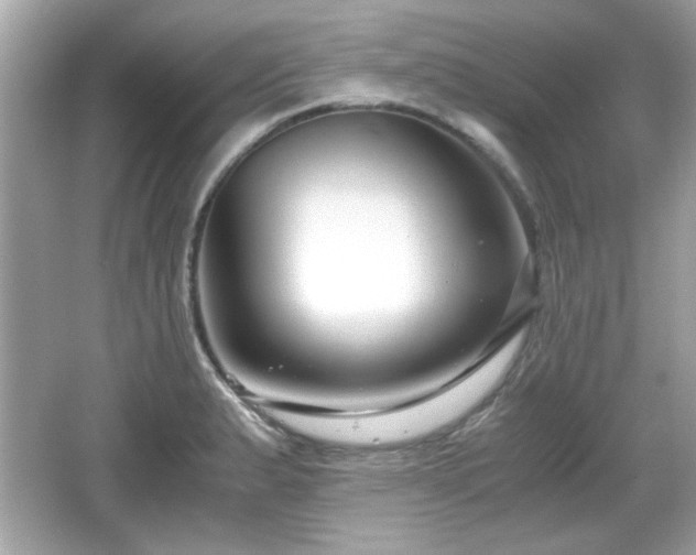 X0000066101183200603171349