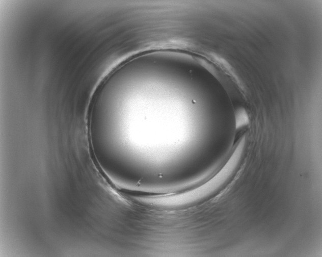 X0000066101184200603171349