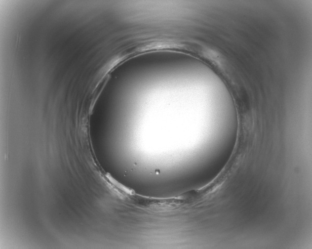 X0000066101185200603171349