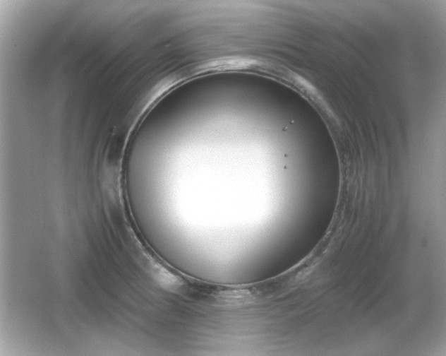 X0000066101186200603171349