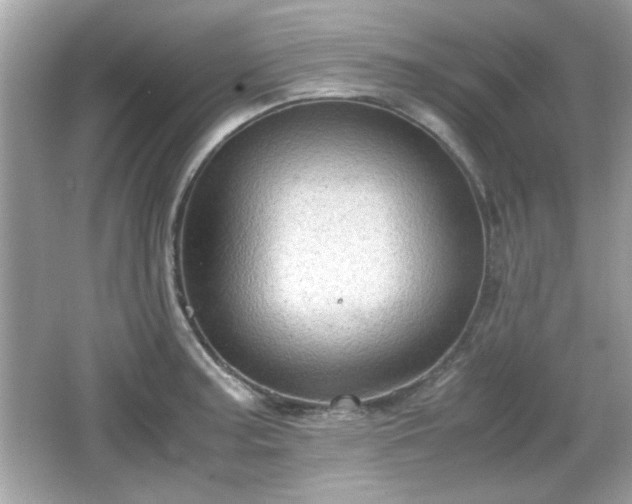 X0000066101187200603171349