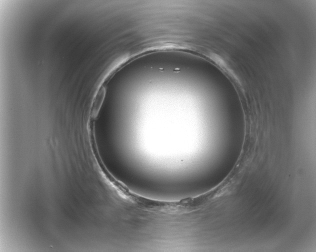 X0000066101189200603171349